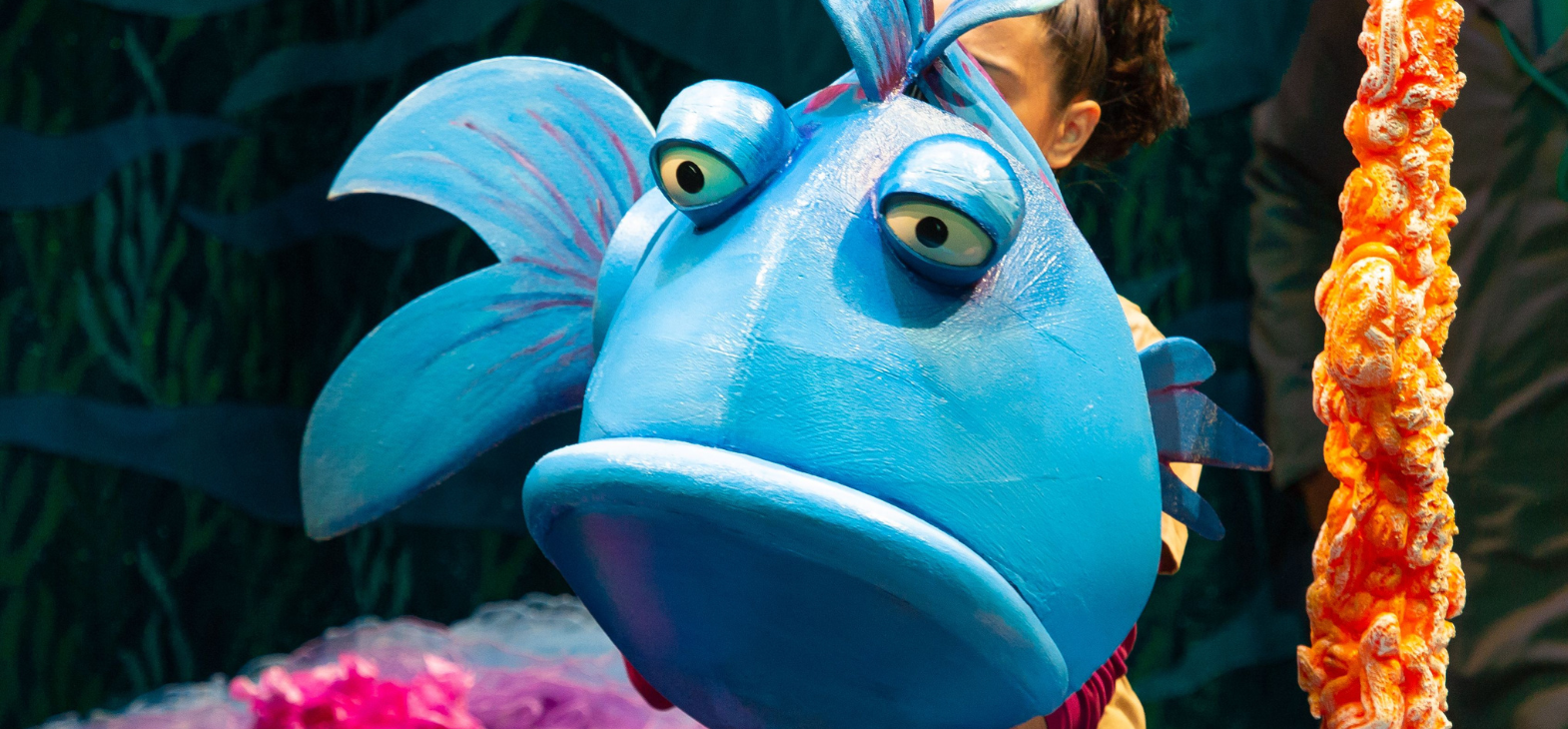 The Pout Pout Fish